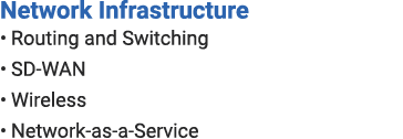 Network Infrastructure • Routing and Switching • SD WAN • Wireless • Network as a Service